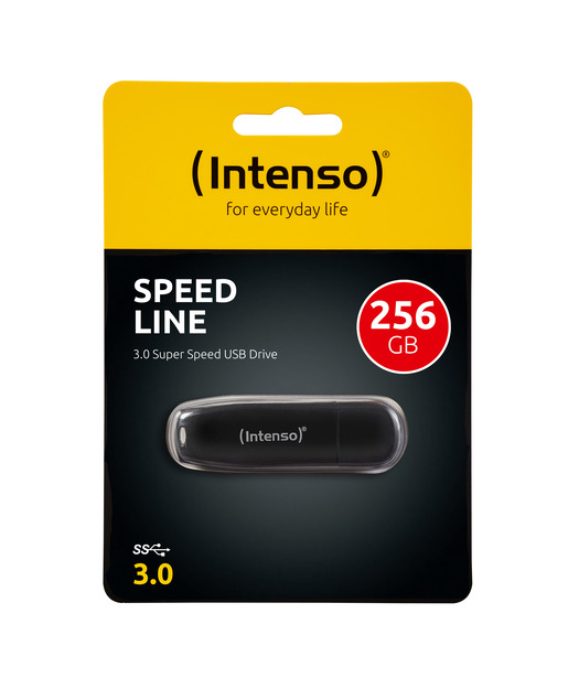 Intenso Speed Line 256GB USB 3.2 Bellek