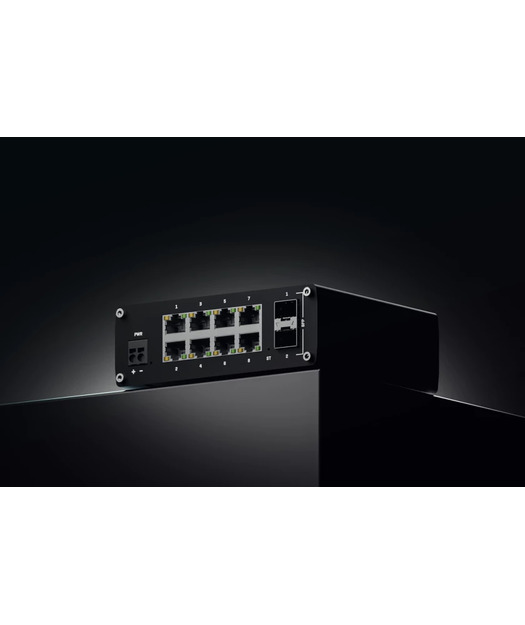 8 x 1 Gbps ETH port, 2 x 1 Gbps SFP, man