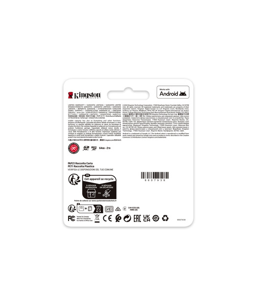 Kingston 128GB Canvas Go Plus microSD Gen4